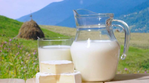 Лечение молоком и молочными продуктами