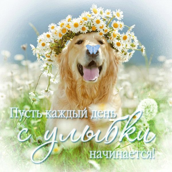 0 102609 d041d2e2 orig