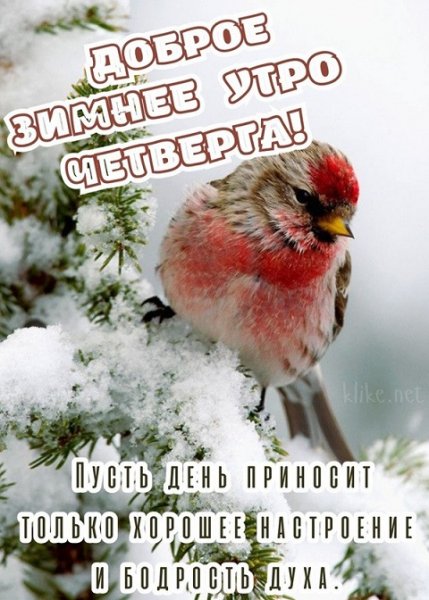 Доброе зимнее утро четверга!...