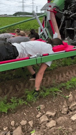 Когда трудиться по кайфу..