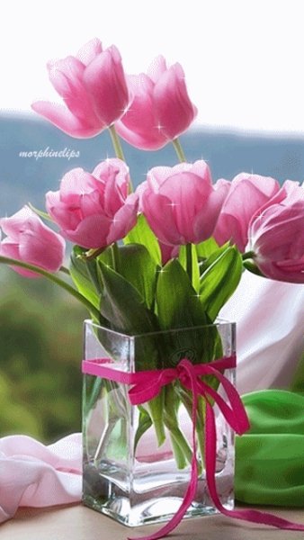 file_50673624