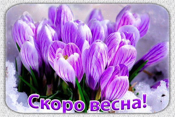 Анимированная открытка скоро весна (1)