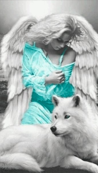 17-03-06-d3ad7499cde234338d60e07647509b17