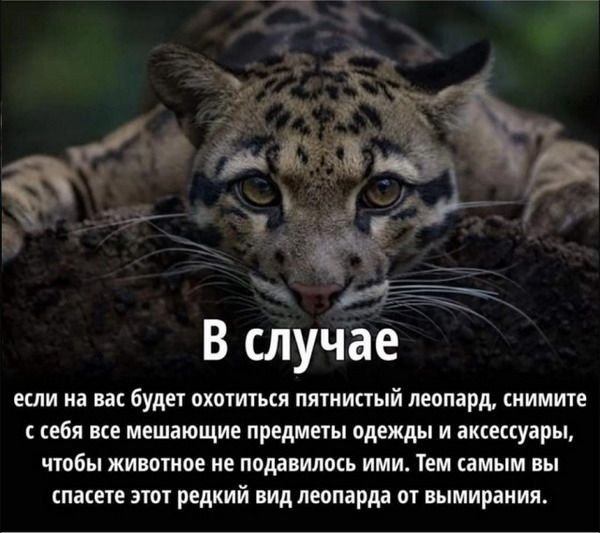 В случае
