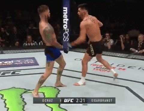 3bd6d26884623e65894012ea7f739119df9689fe6231fa