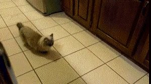 ну пожалуйста