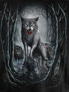 Ночь Волков