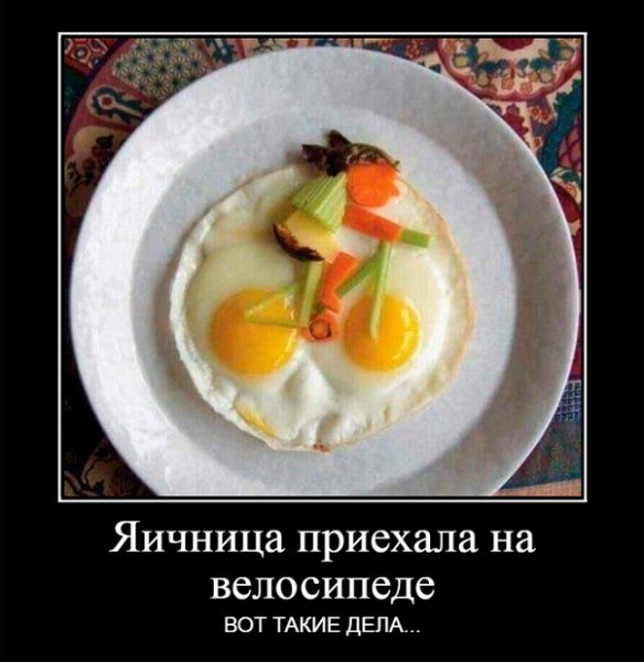 Яичница приехала...