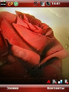 roza