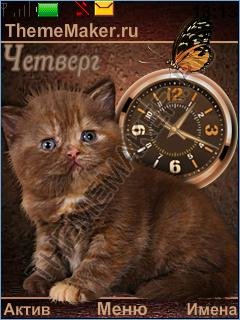 Котёнок