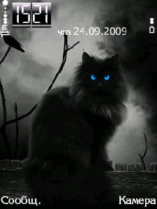 digitalcat y