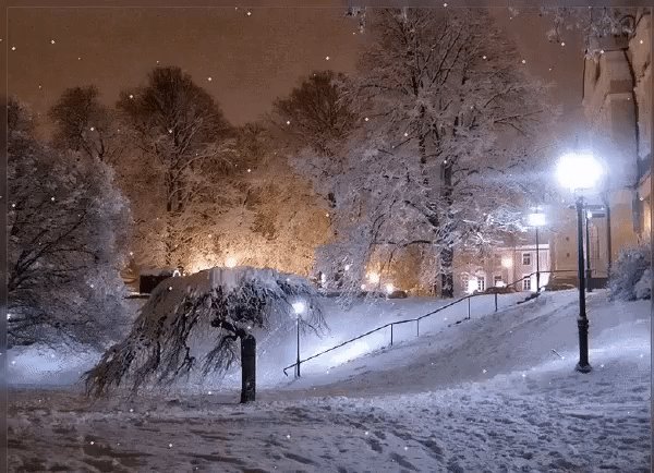 IMG 20161201 113704 23