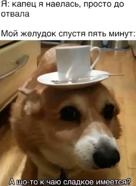 Я живой организм и моя особь требует питательных веществ