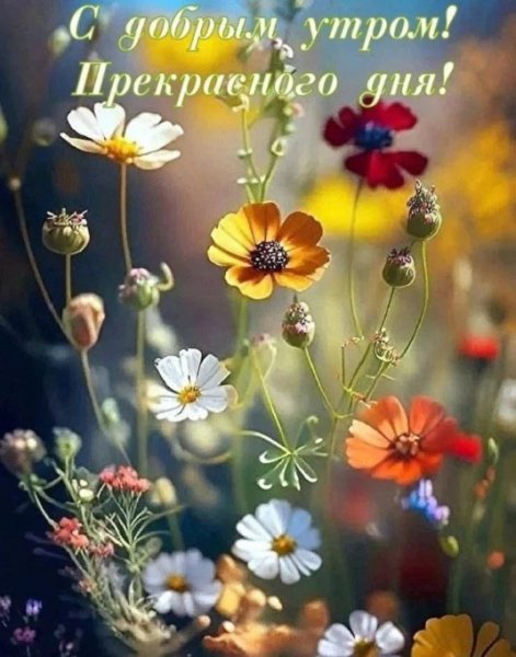 С добрым утром! Прекрасного дня!