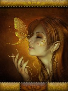 Mariposas-mps-49