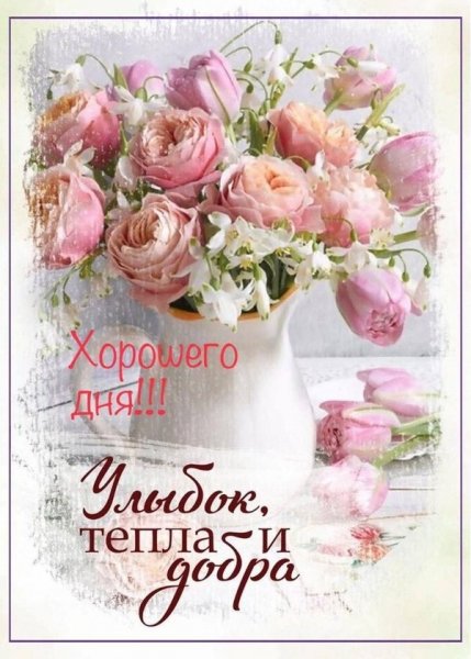 Хорошего дня! Улыбок, тепла и добра!