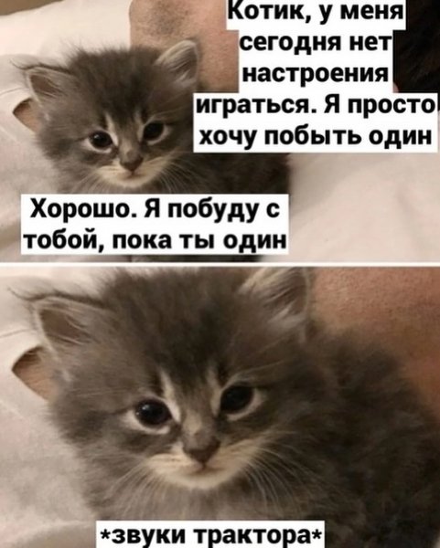 Ins53183657164 2e2cc438f3b4437a8a7f528e78247aa0