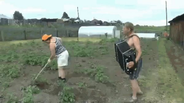 Моральная поддержка