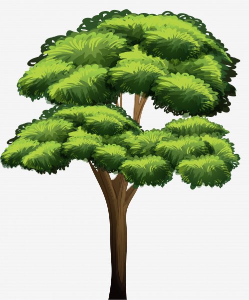 0-6.tree.tree.clipart