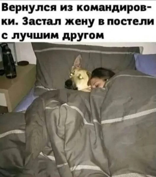 FB IMG 1778837981388