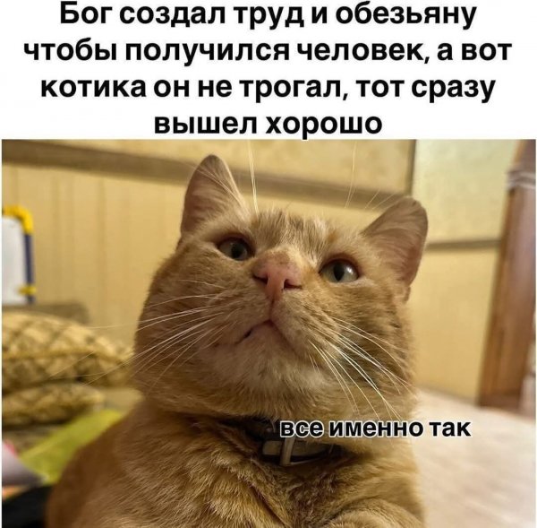 FB IMG 1774130294991