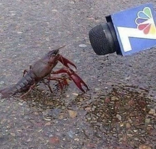 Интервью на мокром асфальте у рака: