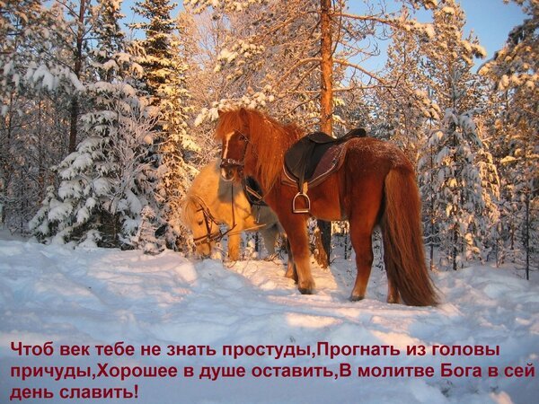 Открытка чтоб век тебе не знать простуды