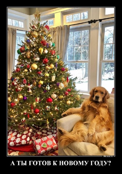 А ты готов к Новому Году?