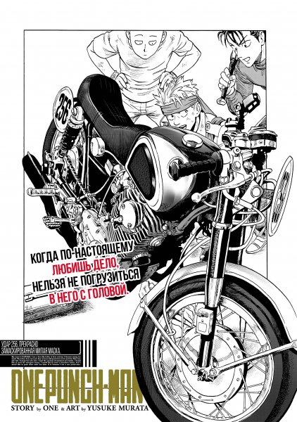 OnePunch-Man v34 ch256