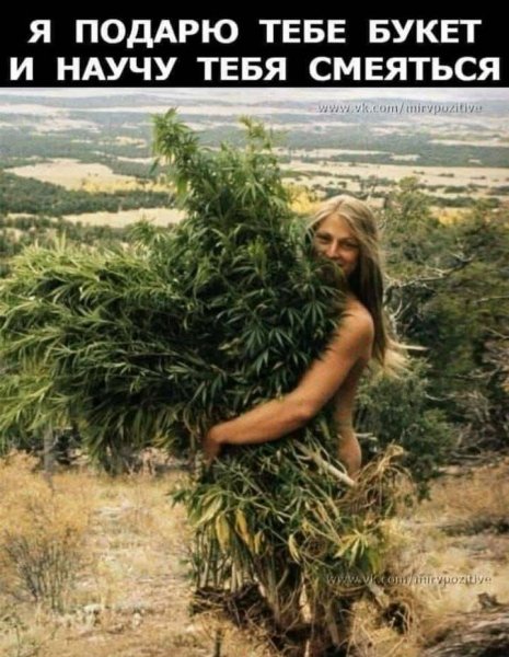 FB IMG 1774667374048