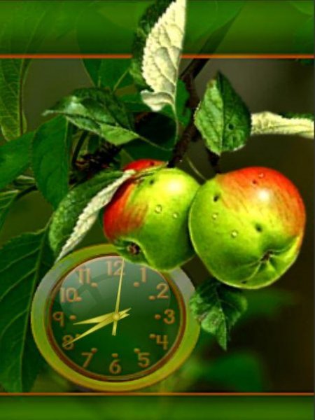 Яблочная... (Guzel)