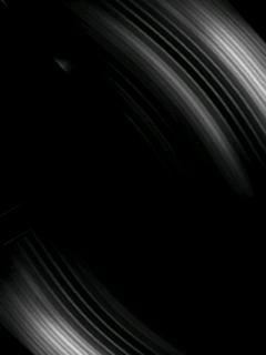 BlackWhiteElm
