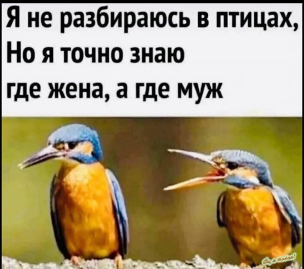 FB IMG 1777393354009