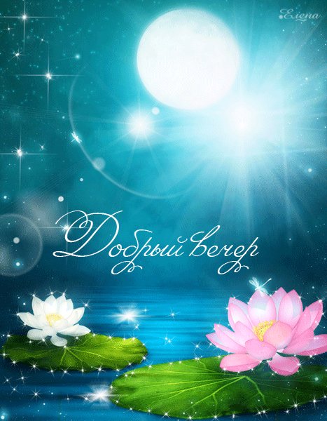 добрый вечер!