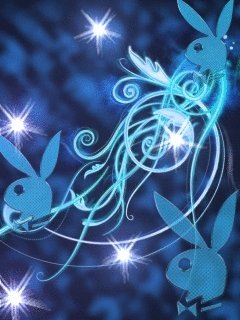 file_81029713
