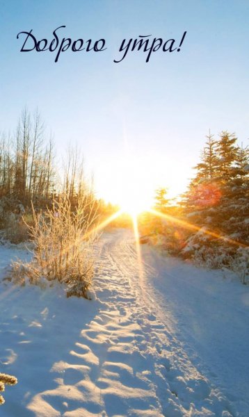 a7b3053fff1abb4705099fce0e