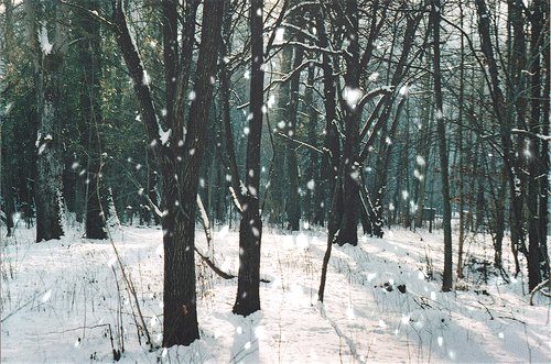снег