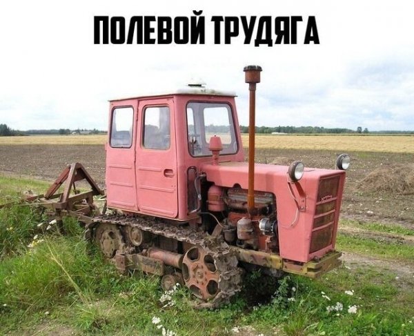 file_89094996