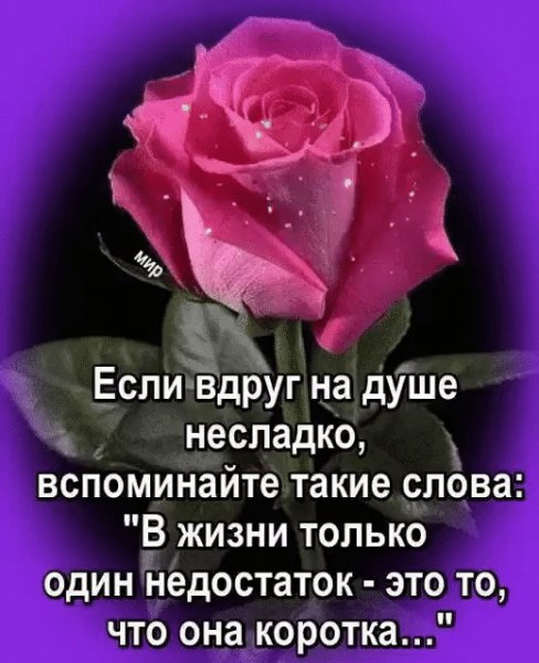 IMG 20220614 105520