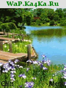 file_4300623