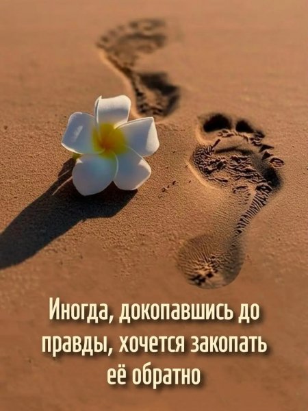 Img 5 1774144421324