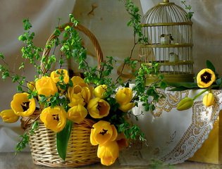 yellow-tulips1