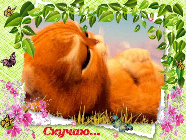 IMG 20160606 112257 32