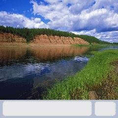 новаяMRR