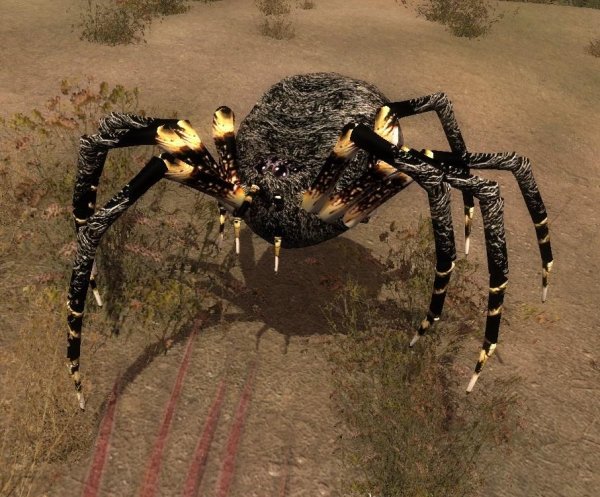 Телепортер убей монстра.part01