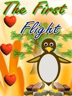 First Flight 240x320