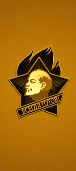 Пионер СССР