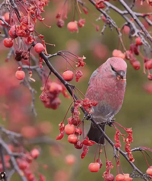 DE-5BE1-4DA4-9304-9EB9E43234FF