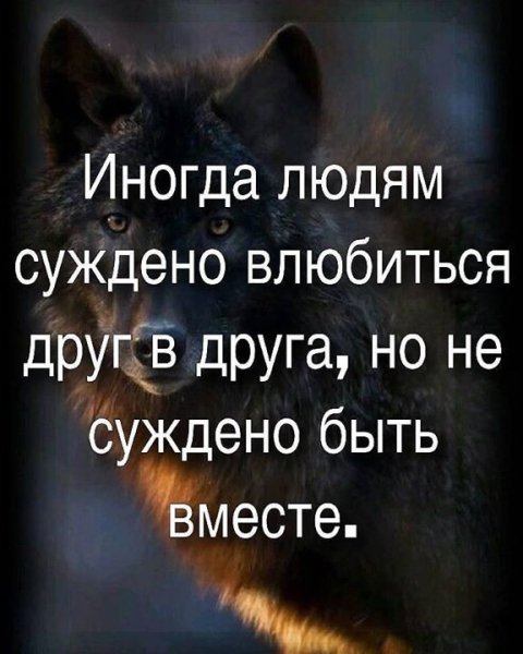 IMG 20220406 203016