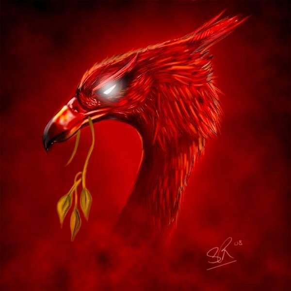 LiverpoolFCMerseysideRed